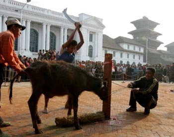 Lễ hiến máu - 1