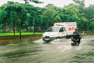 Mưa lớn ở TP Vinh, dân đổ ra đường bắt cá - 1