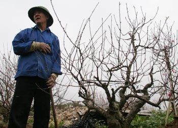 Đào Nhật Tân - một chút để nhớ… - 3