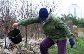 Đào Nhật Tân - một chút để nhớ… - 5