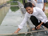 Người nuôi cá đĩa “chấn động thế giới” và cây khế “tình yêu” - 1