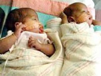 Sinh nhật đầu tiên của cô bé hạt tiêu - 2