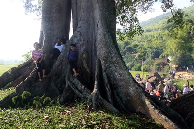 Phóng sự ảnh: Chợ phiên cổ tích dưới gốc đa già - 3 Phóng sự ảnh: Chợ phiên cổ tích dưới gốc đa già - 3