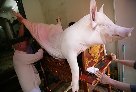 Lễ tế “ông lợn” đặc sắc ở La Phù - 4 Lễ tế “ông lợn” đặc sắc ở La Phù - 4