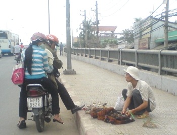 TPHCM: Thương lái bán gà "chui", dân thờ ơ với dịch cúm H5N1  - 1