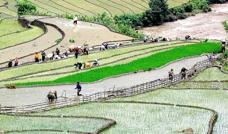 Ngắm ruộng bậc thang trong mùa tuyệt đẹp - 3 Ngắm ruộng bậc thang trong mùa tuyệt đẹp - 3