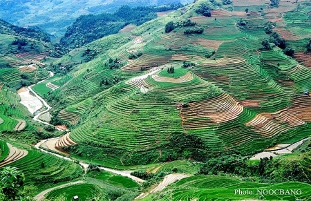 Ngắm ruộng bậc thang trong mùa tuyệt đẹp - 6 Ngắm ruộng bậc thang trong mùa tuyệt đẹp - 6