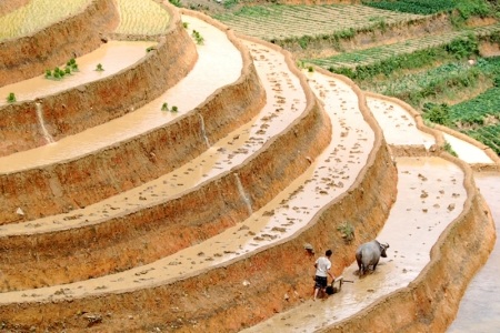 Ngắm ruộng bậc thang trong mùa tuyệt đẹp - 2 Ngắm ruộng bậc thang trong mùa tuyệt đẹp - 2