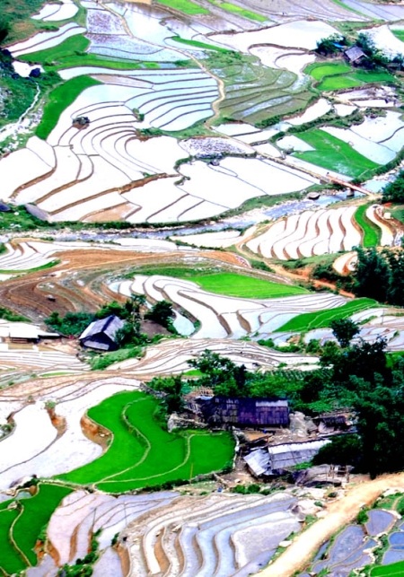 Ngắm ruộng bậc thang trong mùa tuyệt đẹp - 9 Ngắm ruộng bậc thang trong mùa tuyệt đẹp - 9