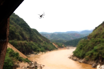 Vội vã Mường Lay - 11