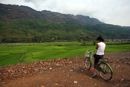 Vội vã Mường Lay - 9