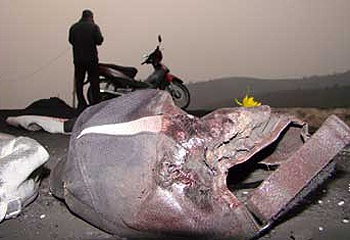 Nạn nhân sống sót kể lại vụ bắn giết đẫm máu ở Quảng Ninh - 2