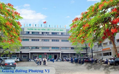 Điểm 10 cho khuôn viên trường nào? - 3