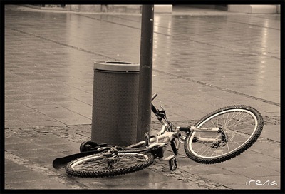 Sao lúc con hư, bố không đánh con thật đau? - 1