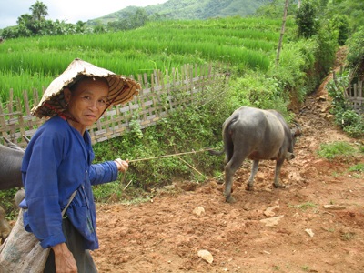 Người Việt hạnh phúc - 2 Người Việt hạnh phúc - 2