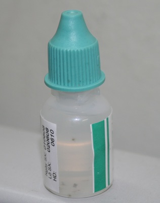 Thu hồi toàn quốc lô thuốc nhỏ mắt bị rêu mốc - 1 Thu hồi toàn quốc lô thuốc nhỏ mắt bị rêu mốc - 1