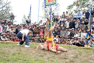 Sôi động hội vật làng Thủ Lễ - 4