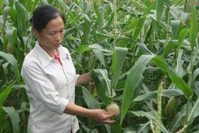 Nỗi đau của một người mẹ - 5 Nỗi đau của một người mẹ - 5