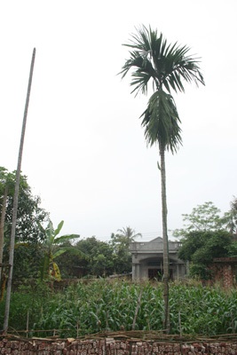 Nỗi đau của một người mẹ - 1 Nỗi đau của một người mẹ - 1