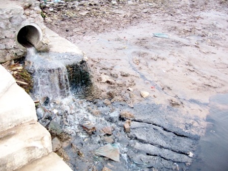 Cảng cá của chung, cho tư nhân "quản" - 2