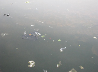 Kim tiêm nổi trắng mặt hồ Tây Sâm  - 2