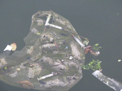 Kim tiêm nổi trắng mặt hồ Tây Sâm  - 1