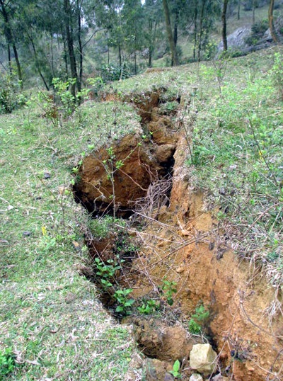 Viện Vật lý địa cầu tìm nguyên nhân gây nứt núi Thành - 1