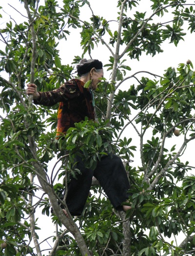 Cụ bà 80 tuổi leo cây “nhanh như sóc” - 6 Cụ bà 80 tuổi leo cây “nhanh như sóc” - 6
