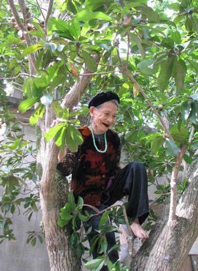 Cụ bà 80 tuổi leo cây “nhanh như sóc” - 4 Cụ bà 80 tuổi leo cây “nhanh như sóc” - 4