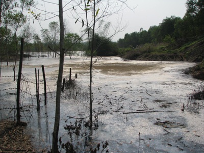 Hoảng hồn với nước thải của nhà máy tinh bột sắn - 13