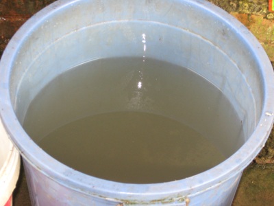 Hoảng hồn với nước thải của nhà máy tinh bột sắn - 8