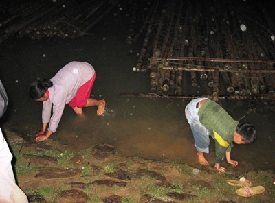 Cá chết trắng sông Lam - 3