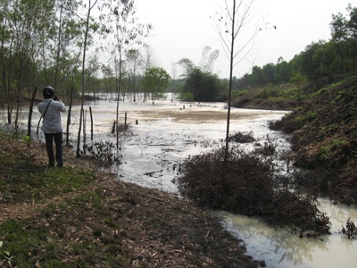 Đình chỉ 2 nhà máy chế biến tinh bột sắn tại Hà Tĩnh, Nghệ An - 3