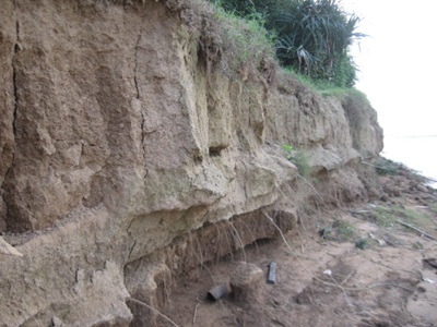 Sạt lở bờ sông Mã đe dọa gần 1.000 hộ dân - 3