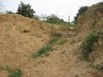 Sạt lở bờ sông Mã đe dọa gần 1.000 hộ dân - 6