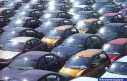 6 yếu tố căn bản trong bố cục ảnh  - 1