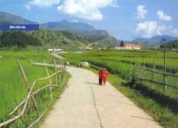 6 yếu tố căn bản trong bố cục ảnh  - 3