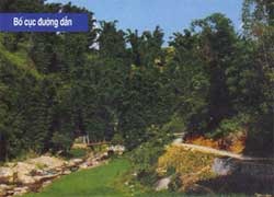 6 yếu tố căn bản trong bố cục ảnh  - 4