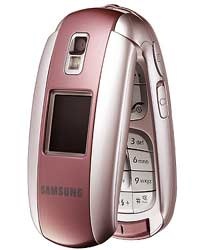 “Dế” dành cho người sành điệu - 4