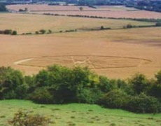 Tìm lời giải cho những vòng tròn bí hiểm - 1 Tìm lời giải cho những vòng tròn bí hiểm - 1