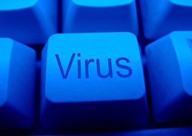 Những “độc chiêu” của virus tại Việt Nam năm 2008 - 1