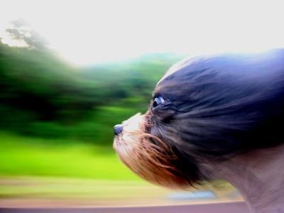 40 bức ảnh tuyệt đẹp nhờ hiệu ứng Motion Blur - 17 40 bức ảnh tuyệt đẹp nhờ hiệu ứng Motion Blur - 17