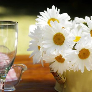 Chữa mất ngủ bằng hoa - 1 Chữa mất ngủ bằng hoa - 1