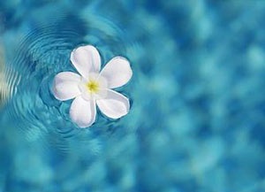 Xóa nhăn bằng thực phẩm - 4