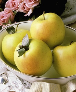 Sự kỳ diệu của thực phẩm mùa đông - 1