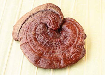 Trẻ hoá khi đông về  - 1