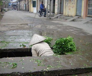 Rửa rau bằng nước cống  - 2