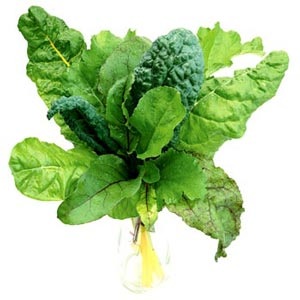 11 vi chất đặc trưng: Tại sao bạn cần chúng? - 8