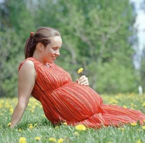 Viêm xoang khi bầu bí - 1