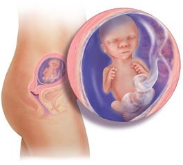 Thai 18 tuần tuổi - 1 Thai 18 tuần tuổi - 1